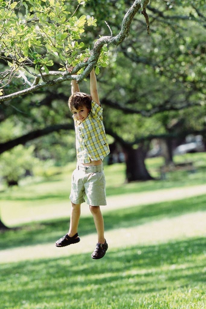 The Neighborhood Narrative Scenic Landscape